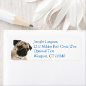 Pug Puppy Hond Retouradres Naam Label (Insitu)