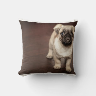pug-puppy in sepia kussen