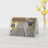 Pug Puppy Kaart (Gele Bloem)