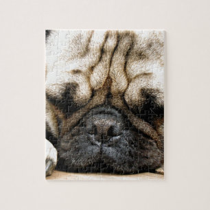 Pug puppy legpuzzel