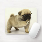 Pug Puppy Muismat (Met muis)