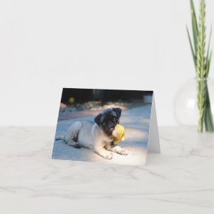 Pug Puppy Note Kaart