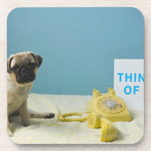 Pug puppy op bed naast de telefoon en drankjes onderzetter (Voorkant)