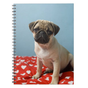 Pug puppy op bed notitieboek