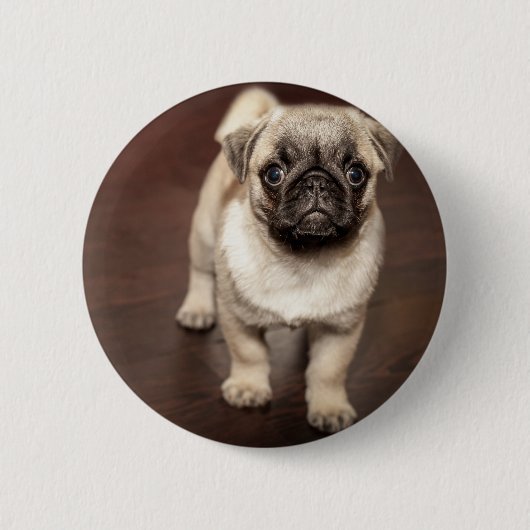Pug Puppy Ronde Button 5,7 Cm (Voorkant)
