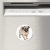 Pug Puppy Ronde Magneet (Insitu (Vaatwasser))
