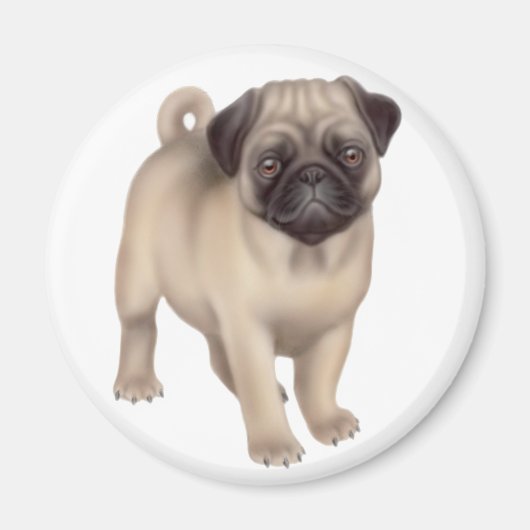 Pug Puppy Ronde Magneet (Voorkant)