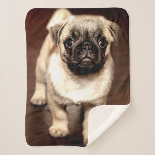 PUG PUPPY SHERPA DEKEN