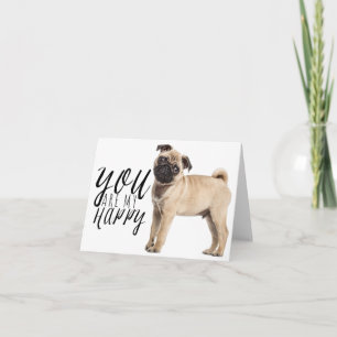 Pug Puppydog - Liefde, Hallo, Denk aan Jou, Hoi Kaart