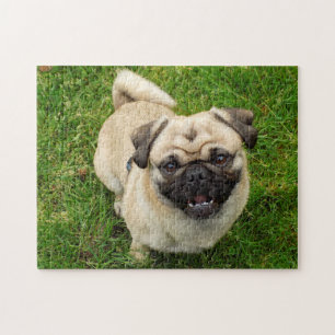 Pug Puzzle Legpuzzel