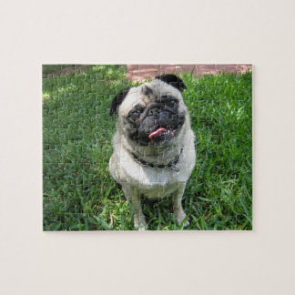 Pug Puzzle Legpuzzel