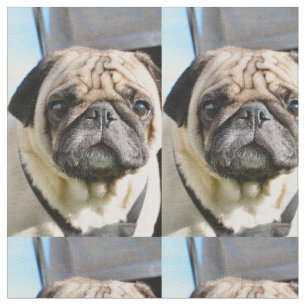 Pug q stof