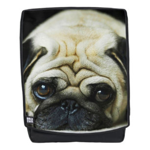 Pug Rugtassen
