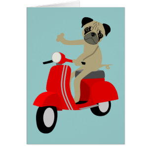 Pug scooter