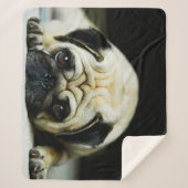 Pug Sherpa Deken (Voorkant)