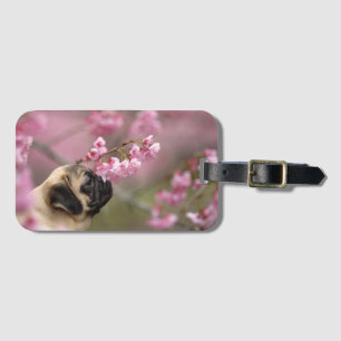 Pug Smelling Cherry Blossom Bagagelabel