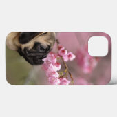 Pug Smelling Cherry Blossom Case-Mate iPhone Case (Achterkant (horizontaal))
