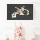Pug spandoek (Insitu)