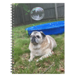 Pug spiral notebook notitieboek