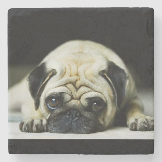 Pug Stenen Onderzetter (Voorkant)