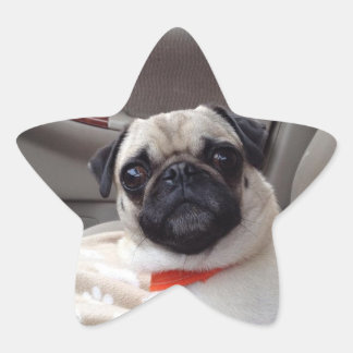 Pug Stickers
