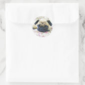Pug stickers (Tas)