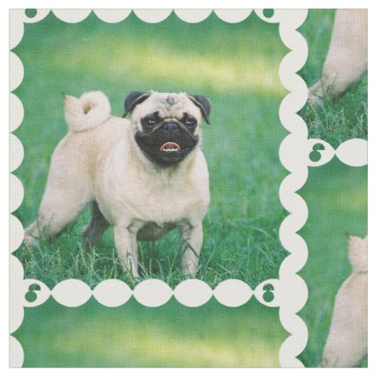 Pug Stof (Close Up)