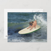 Pug Surfer Briefkaart (Voorkant / Achterkant)