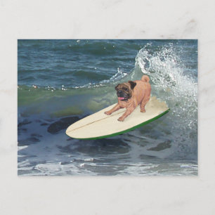Pug Surfer Briefkaart