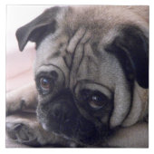 Pug Tile Tegeltje (Voorkant)