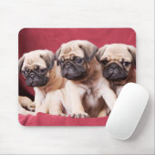 Pug Triplets Muismat (Met muis)