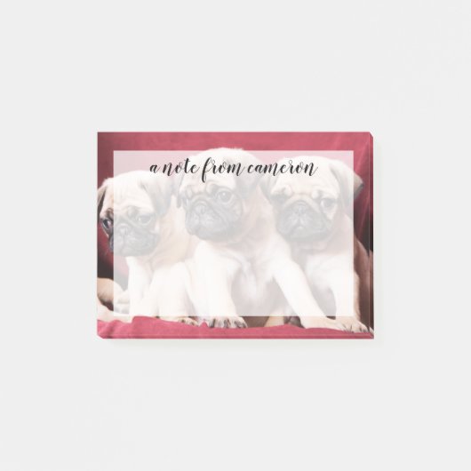 Pug Triplets Post-it® Notes (Voorkant)