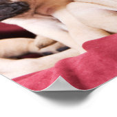 Pug Triplets Poster (Hoek)