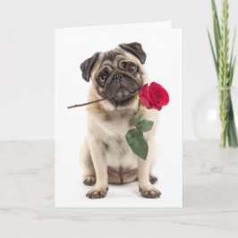 Pug Valentine Kaart