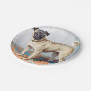 Pug van Conradijn Cunaeus Papieren Bordje