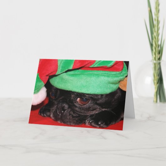 "Pug van het Gezoem Bah!" Het Wenskaart van de Feestdagen Kaart (Voorkant)