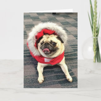 Pug van Kerstmis Feestdagen Kaart