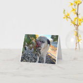 Pug verjaardag grappig kaart (Gele Bloem)
