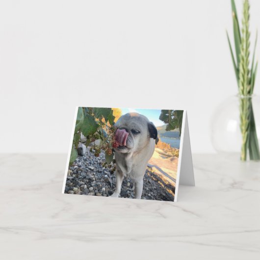 Pug verjaardag grappig kaart (Voorkant)