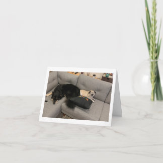 Pug verjaardagskaart grappig kaart