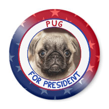 PUG VOOR PRESIDENT