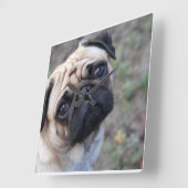 Pug Wall klok (Hoek)