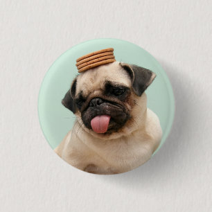Pug Wants-behandelingen Ronde Button 3,2 Cm