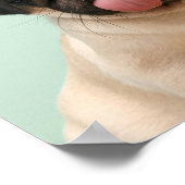 Pug Wants Treats Poster (Hoek)