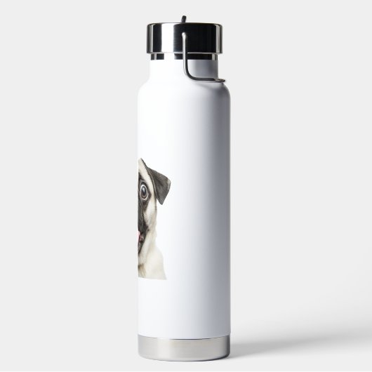 pug waterfles (Links)