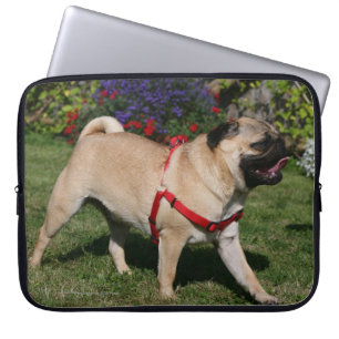 Pug Wearing Red Harness Laptop Sleeve