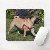 Pug Wearing Red Harness Muismat (Met muis)