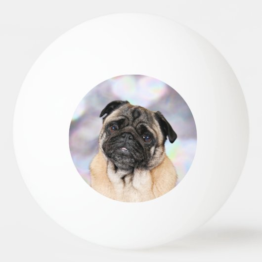 Pug - Willy Pingpongballen (Voorkant)