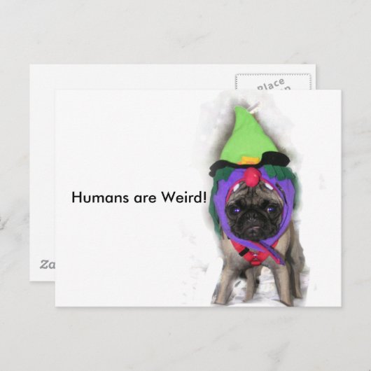 Pug Witch Briefkaart (Voorkant / Achterkant)