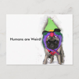 Pug Witch Briefkaart